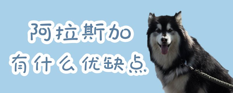 阿拉斯加有什么優(yōu)缺點