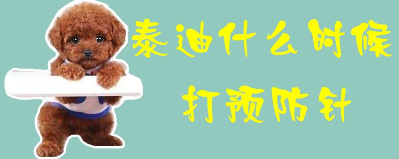 泰迪什么時(shí)候打預(yù)防針1