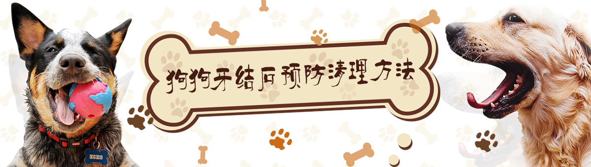 狗狗牙結(jié)石清理方法是什么