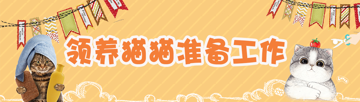 寵物貓領(lǐng)養(yǎng)要注意什么