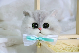 怎么訓練金吉拉貓不咬人 金吉拉貓訓練方法