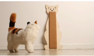 如何防止貓咪抓墻 訓練貓咪不抓墻