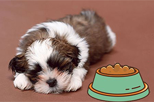 幼犬狗糧怎么吃