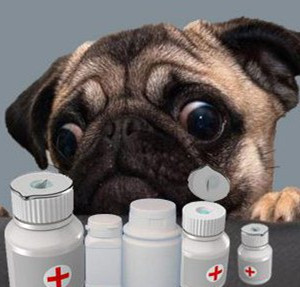 小狗拉肚子吃什么藥