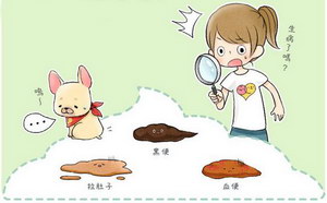 小狗拉肚子怎么辦