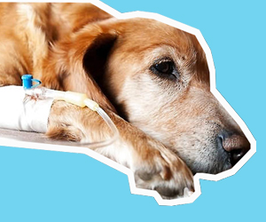 細(xì)小是什么病