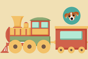 火車托運(yùn)寵物需要什么手續(xù)