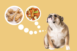 狗咬膠的用處是什么