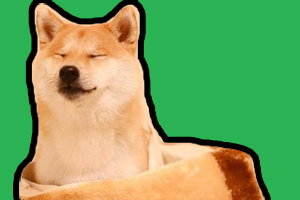 柴犬性格怎么樣