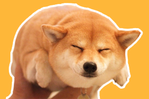 柴犬的生活習(xí)性是什么