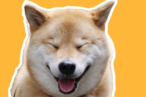 柴犬的習(xí)性是什么