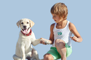 喂養(yǎng)寵物狗要注意什么