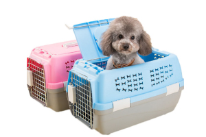 寵物運輸方式有哪些