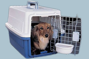 寵物托運(yùn)手續(xù)怎么辦理