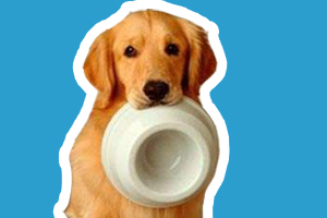 金毛狗糧自制怎么做