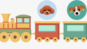 火車托運(yùn)寵物流程