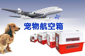 坐飛機(jī)寵物托運(yùn)手續(xù)介紹