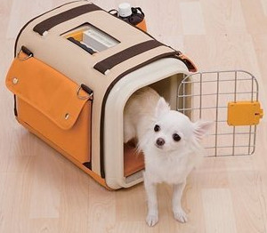 國內(nèi)寵物托運(yùn)