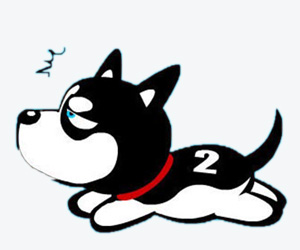 狗鉤蟲病怎么治療