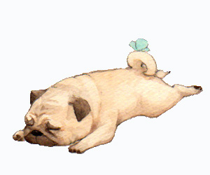 小狗上吐下瀉怎么辦