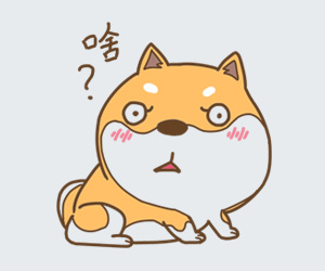 狗狗便血怎么辦