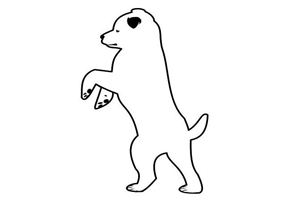 怎么訓(xùn)練小狗罰站