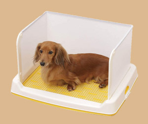 如何訓練狗狗如廁