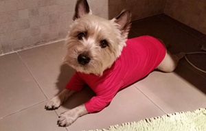 凱恩梗得了空調(diào)病怎么辦 空調(diào)病防治方法