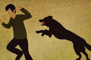 怎么訓(xùn)練狗不撲人