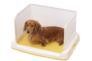 如何訓(xùn)練狗上廁所