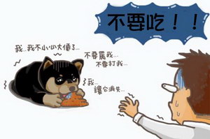 狗吃自己的屎怎么辦