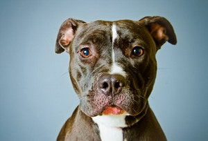 斯塔?？ざ放９Ｅ肯略趺从?xùn)練 斯塔?？ざ放９Ｌ傻褂?xùn)練流程