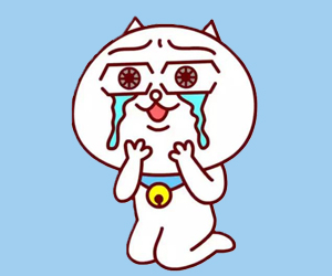 貓流眼淚是怎么回事
