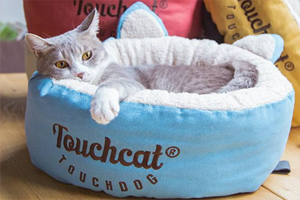 貓咪不肯睡貓窩怎么辦