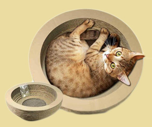 如何自制貓抓板