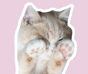 怎么給貓剪指甲