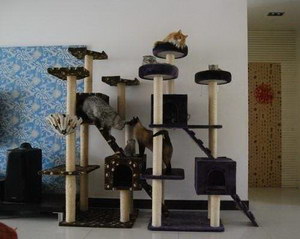 貓爬架制作教程