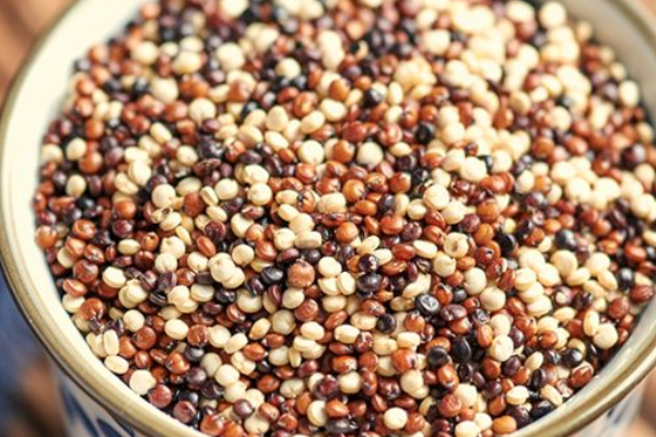 藜麥的種植時(shí)間和條件