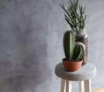 仙人掌的養(yǎng)殖方法和注意事項，小白都能學(xué)會的種植方法和技巧