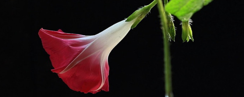 牽?；ㄓ纸惺裁椿? data-AaNR=