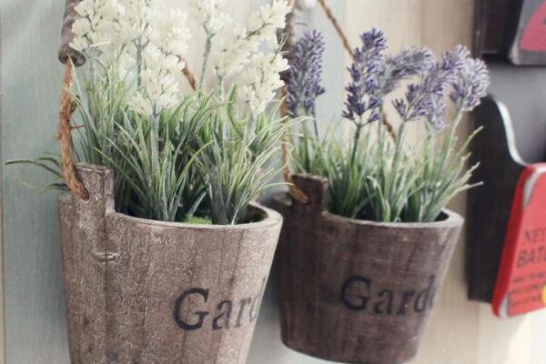 薰衣草盆栽的種植方法，薰衣草種植的5大要點(diǎn)