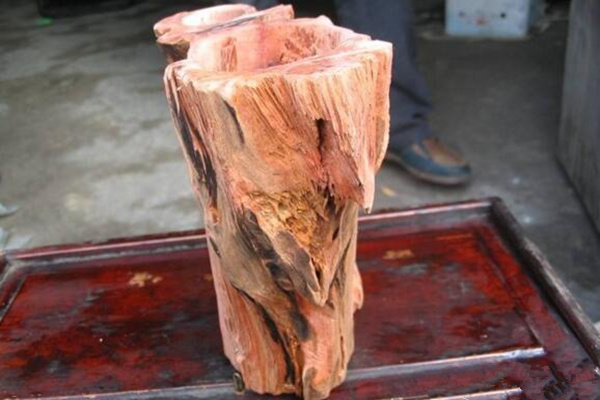 紅豆杉有什么作用，全面講解紅豆杉的作用以及價(jià)值