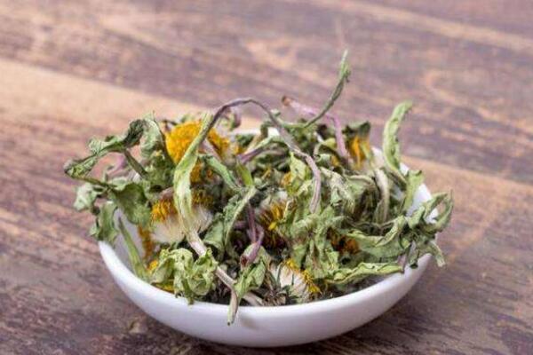 蒲公英根茶能長期喝嗎，每星期飲用3~4次即可