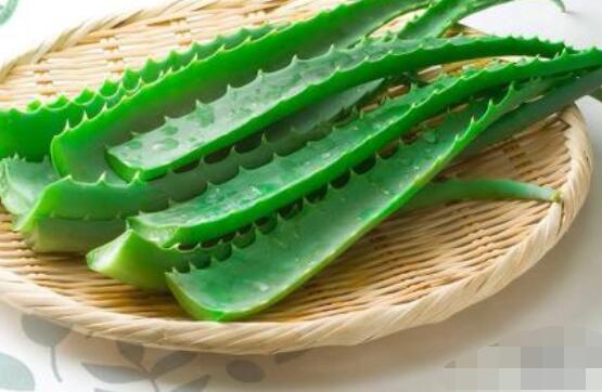 蘆薈的功效，美容養(yǎng)顏、防御病菌、減肥止痛