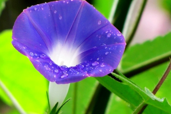 牽?；ㄏ矚g陽(yáng)光還是陰涼