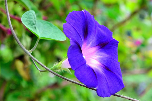 牽?；ㄩL(zhǎng)太高怎么辦