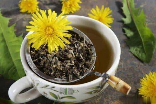 蒲公英茶哪些人不宜喝，體質(zhì)虛寒、過敏、孕婦都不宜飲用