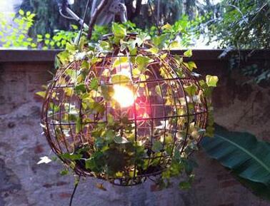 常春藤怎么水培，勤換水并且第一次要澆透營養(yǎng)液