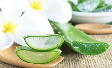 蘆薈美容的使用方法，自制美容小妙招