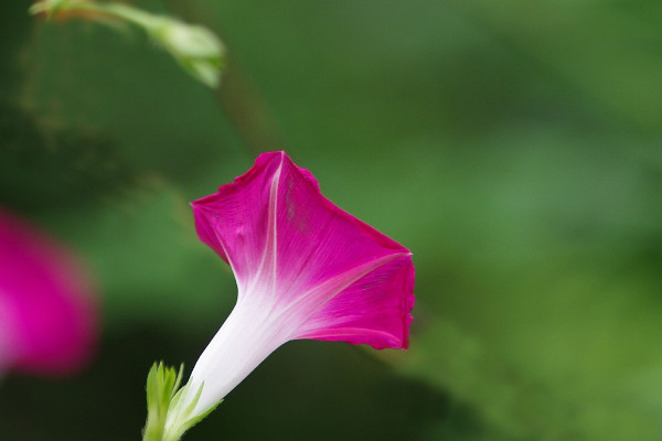 牽?；ㄊ┓试谀膫€階段